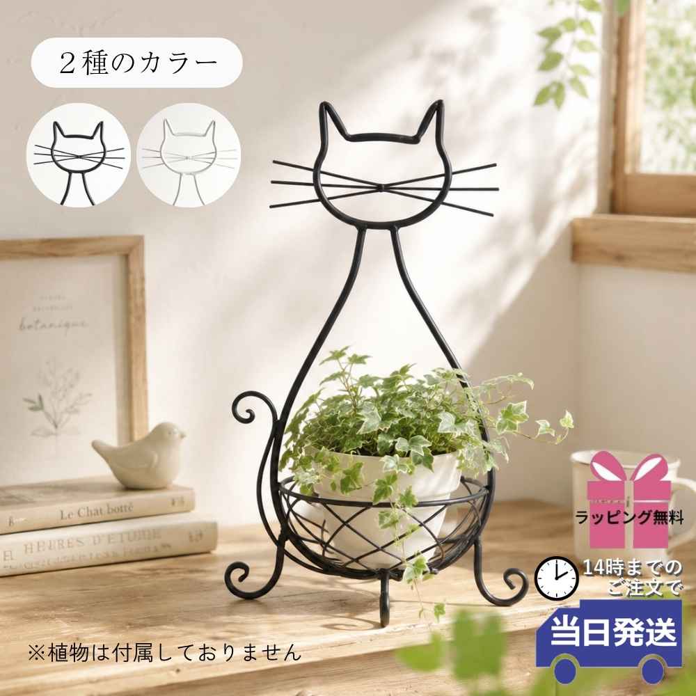 ��������ץ�󥿡� �ͥ� ȭ���С� 3�� 4��ä������ʥ���ƥꥢ��͢�����ߥ����ڸ������Ρ�