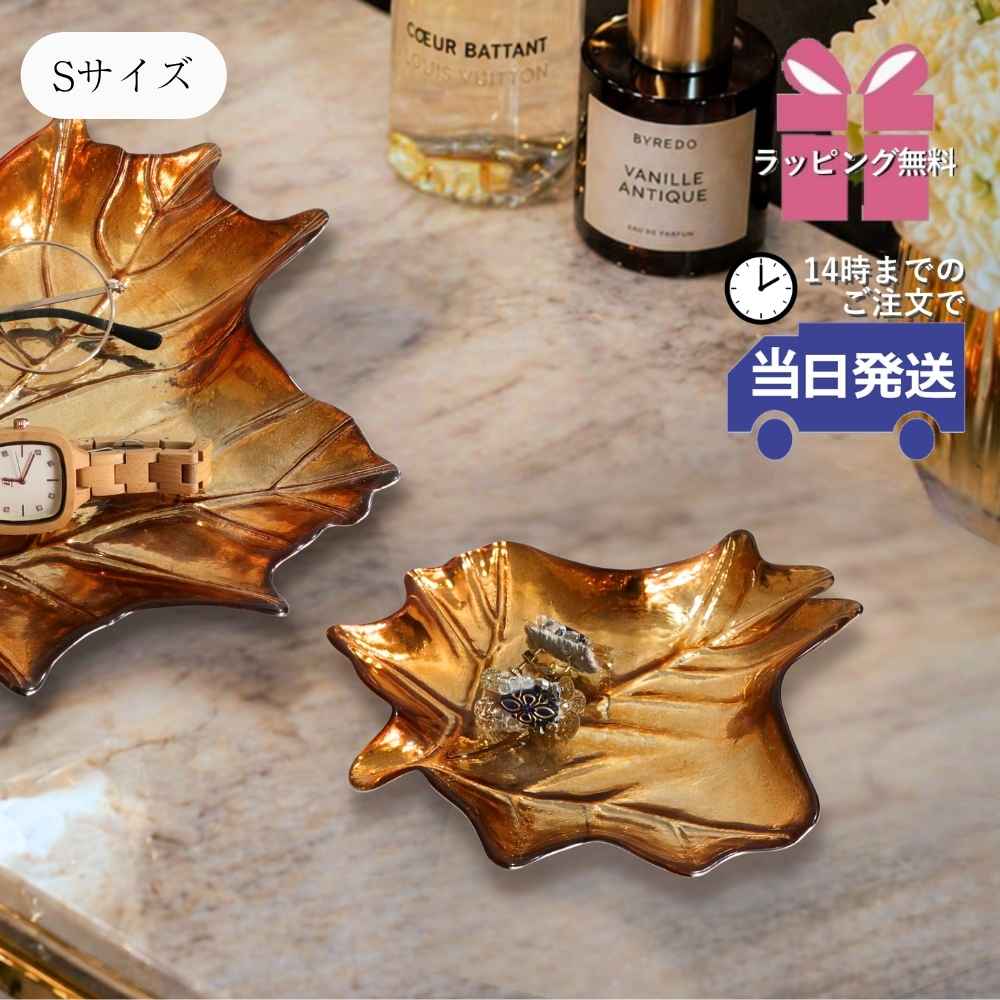 ���������꡼�ȥ쥤 ���饹�꡼��S ��16cm�ä������ʥ���ƥꥢ��͢�����ߥ����ڸ������Ρ�