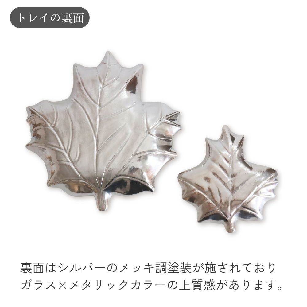 ���������꡼�ȥ쥤 ���饹�꡼��L ��26cm�ä������ʥ���ƥꥢ��͢�����ߥ����ڸ������Ρ�