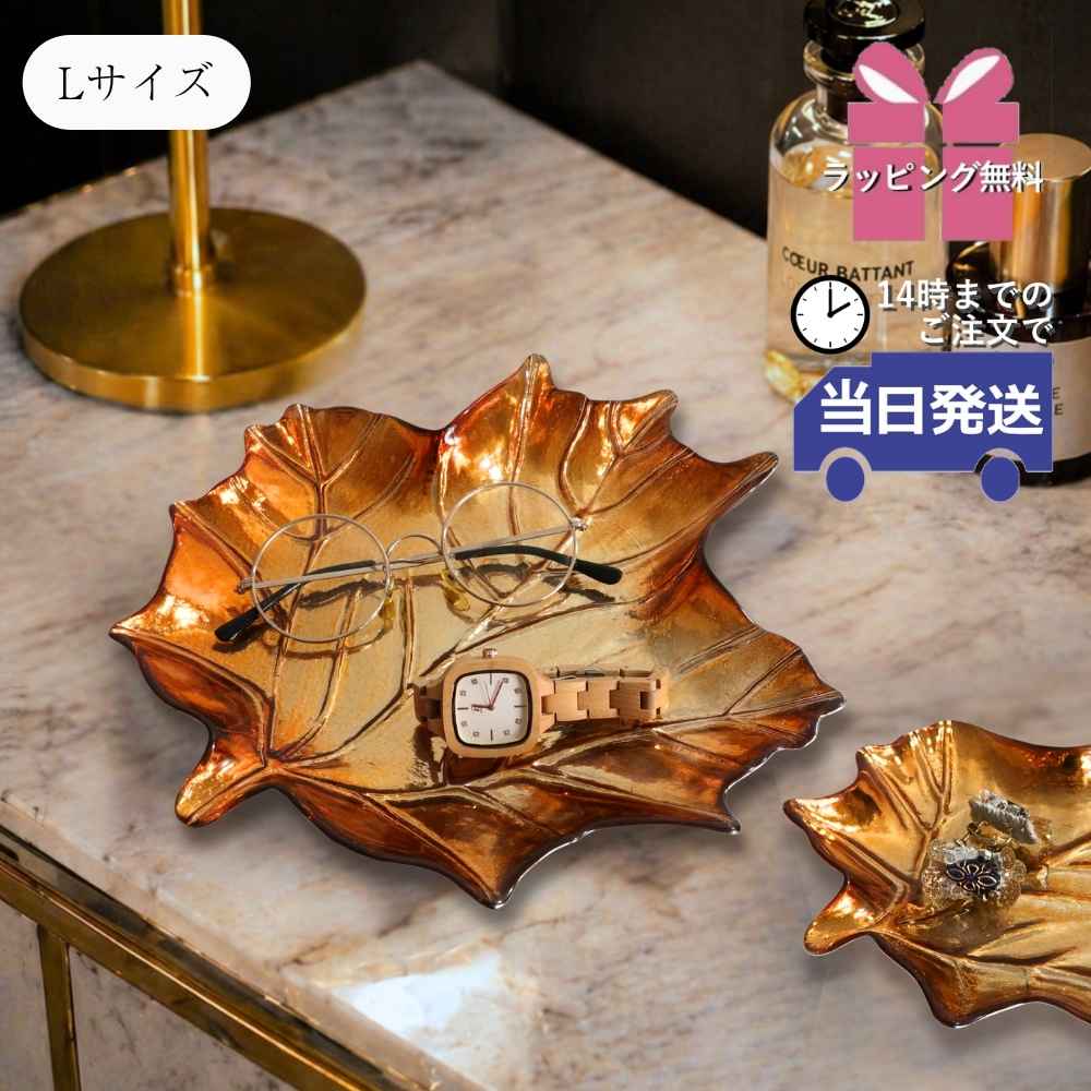���������꡼�ȥ쥤 ���饹�꡼��L ��26cm�ä������ʥ���ƥꥢ��͢�����ߥ����ڸ������Ρ�