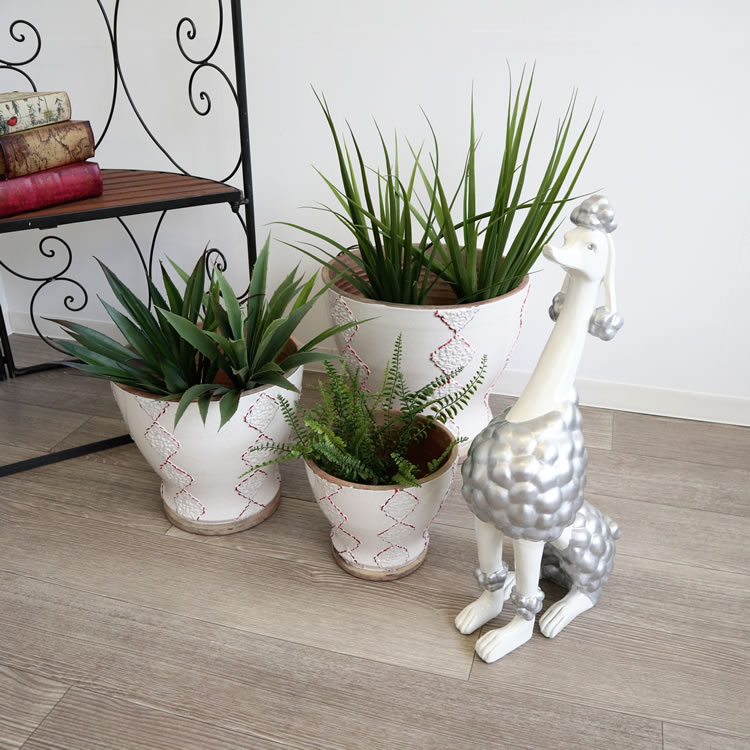 �ס��ɥ� ��ʪS ���֥��� ����ץ����� �⤵58cm�ä������ʥ���ƥꥢ��͢�����ߥ����ڸ������Ρ�