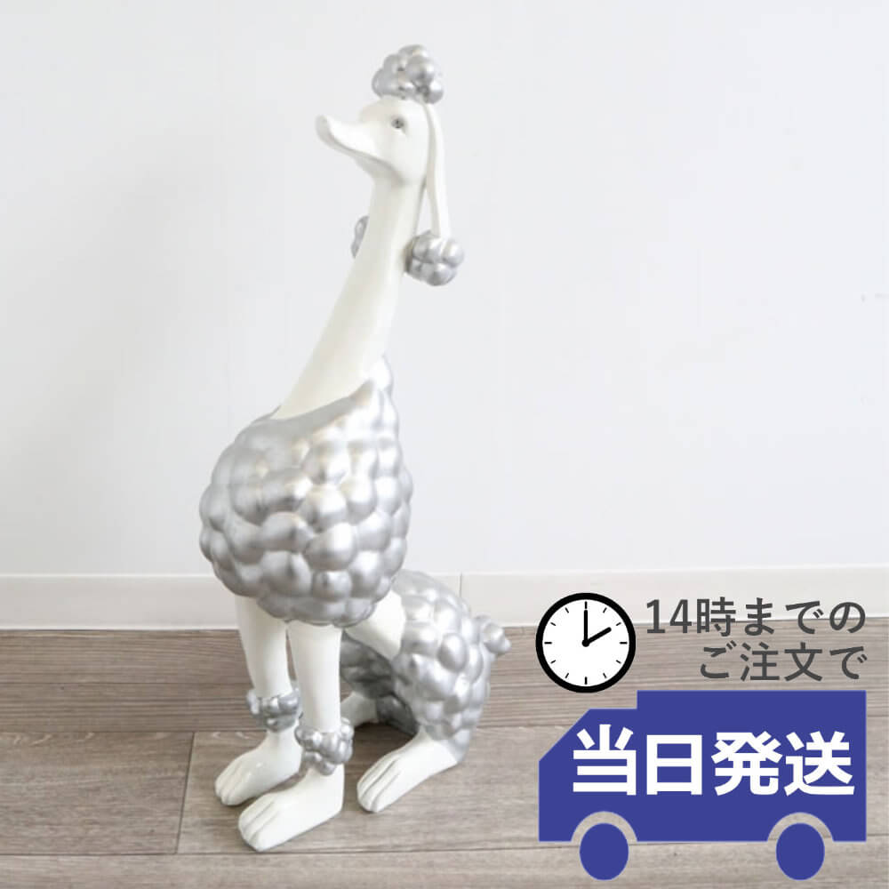 �ס��ɥ� ��ʪS ���֥��� ����ץ����� �⤵58cm�ä������ʥ���ƥꥢ��͢�����ߥ����ڸ������Ρ�