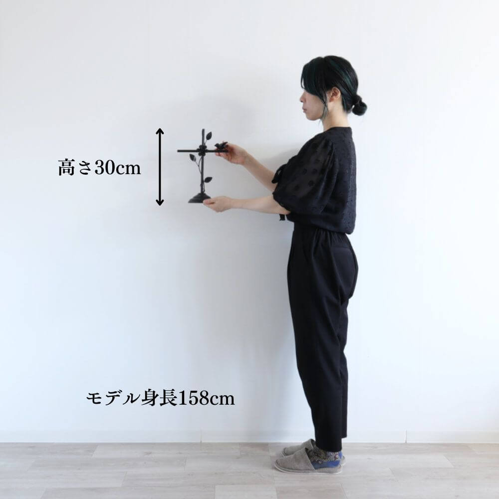 ꡼ 󥯥 21cmäʥƥꥢ͢ߥڸΡ