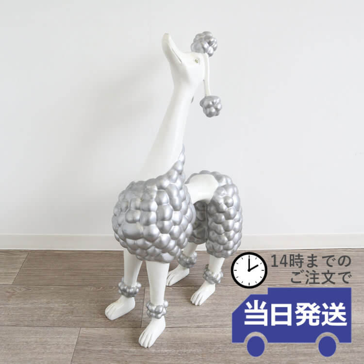 סɥ ʪL ֥ ץ ⤵69cmäʥƥꥢ͢ߥڸΡ