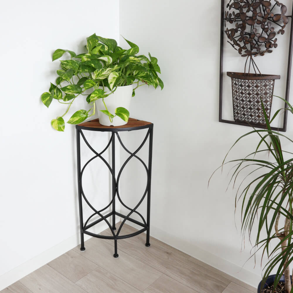 ���� �����ʡ��ե�������� �⤵56cm�ä������ʥ���ƥꥢ��͢�����ߥ����ڸ������Ρ�