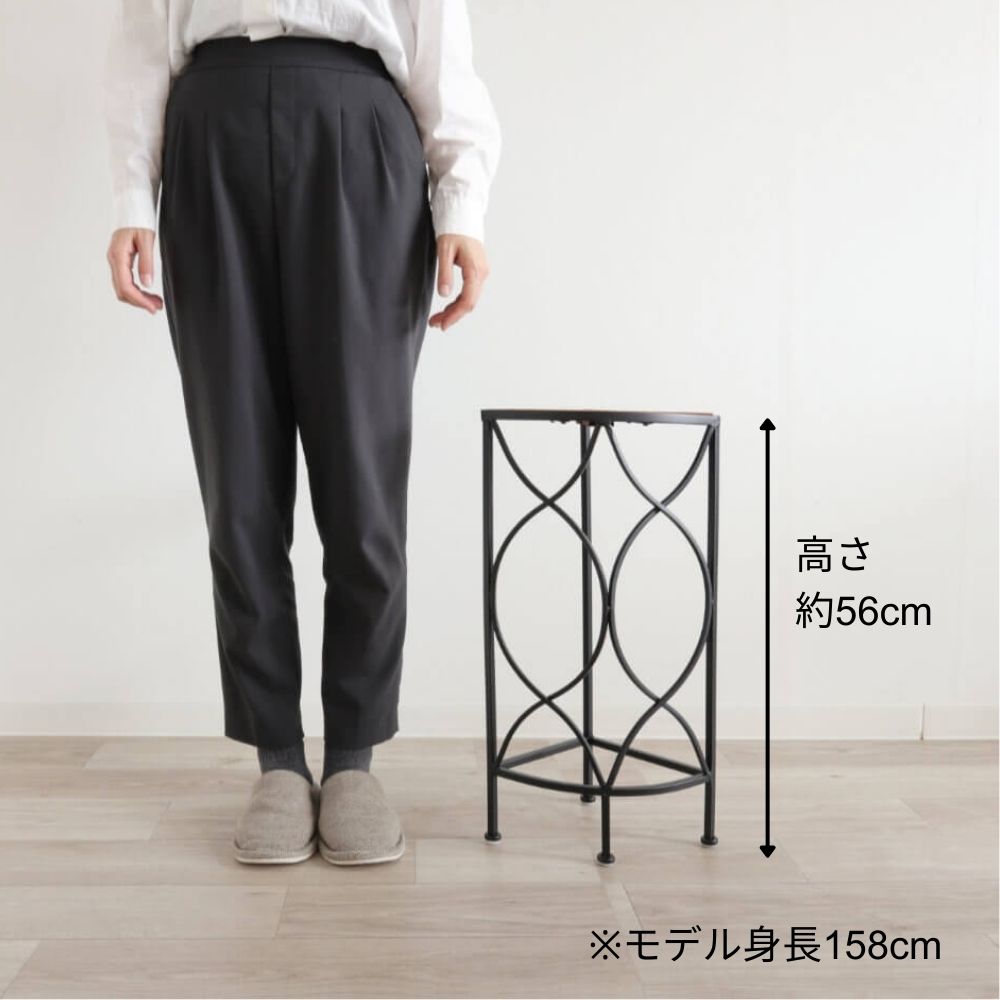 ���� �����ʡ��ե�������� �⤵56cm�ä������ʥ���ƥꥢ��͢�����ߥ����ڸ������Ρ�