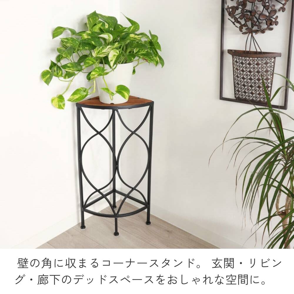 ���� �����ʡ��ե�������� �⤵56cm�ä������ʥ���ƥꥢ��͢�����ߥ����ڸ������Ρ�