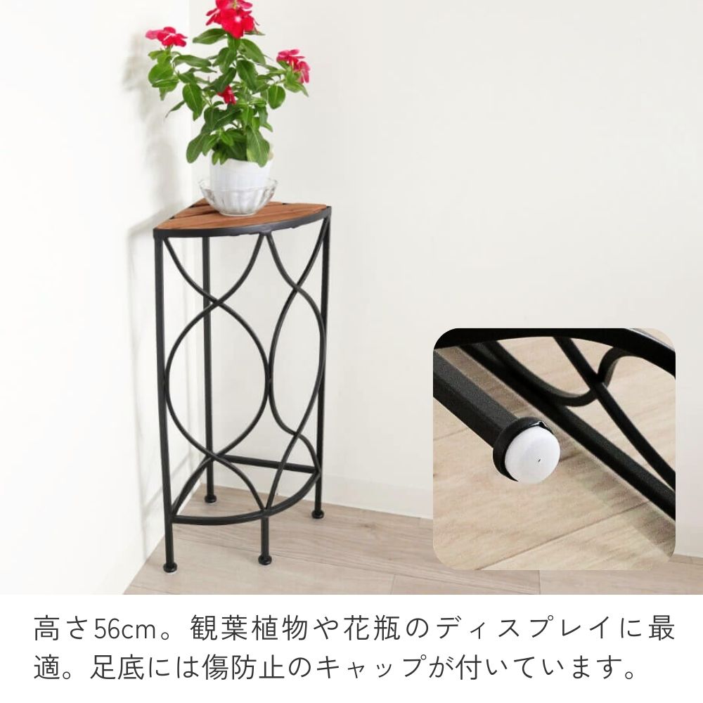���� �����ʡ��ե�������� �⤵56cm�ä������ʥ���ƥꥢ��͢�����ߥ����ڸ������Ρ�