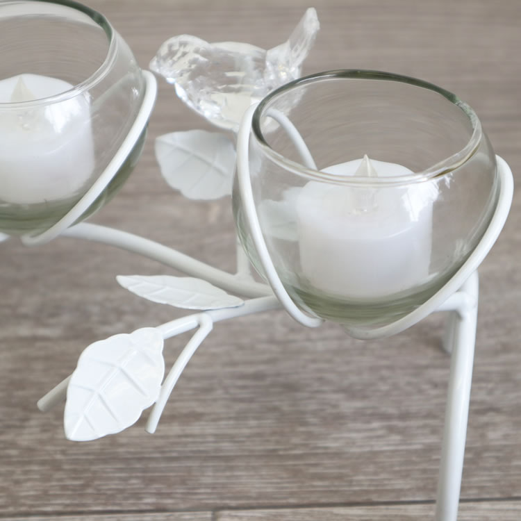 3饹ե١  ۥ磻ȡäʥƥꥢ͢ߥڸΡ