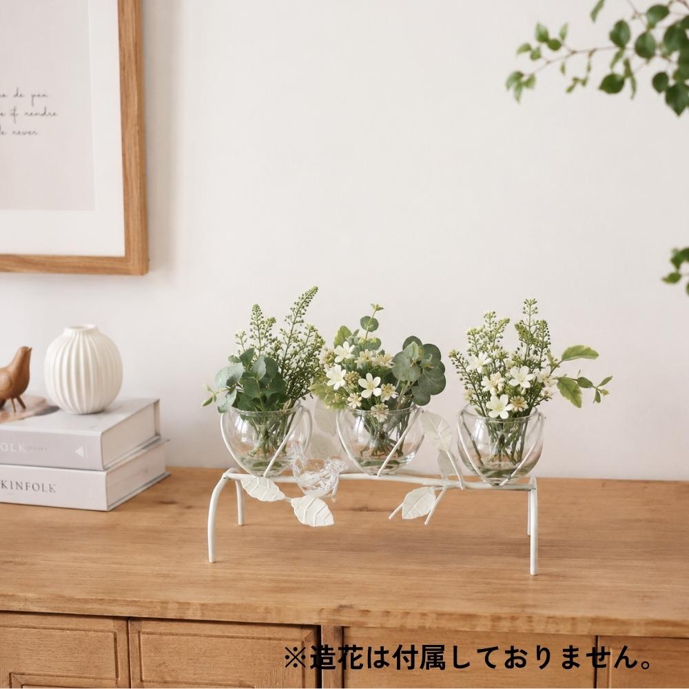 ���������3���饹�ե��١��� ���� �ۥ磻�ȡä������ʥ���ƥꥢ��͢�����ߥ����ڸ������Ρ�