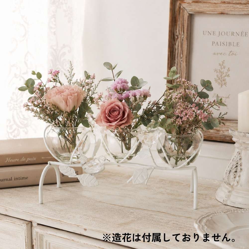 ���������3���饹�ե��١��� ���� �ۥ磻�ȡä������ʥ���ƥꥢ��͢�����ߥ����ڸ������Ρ�