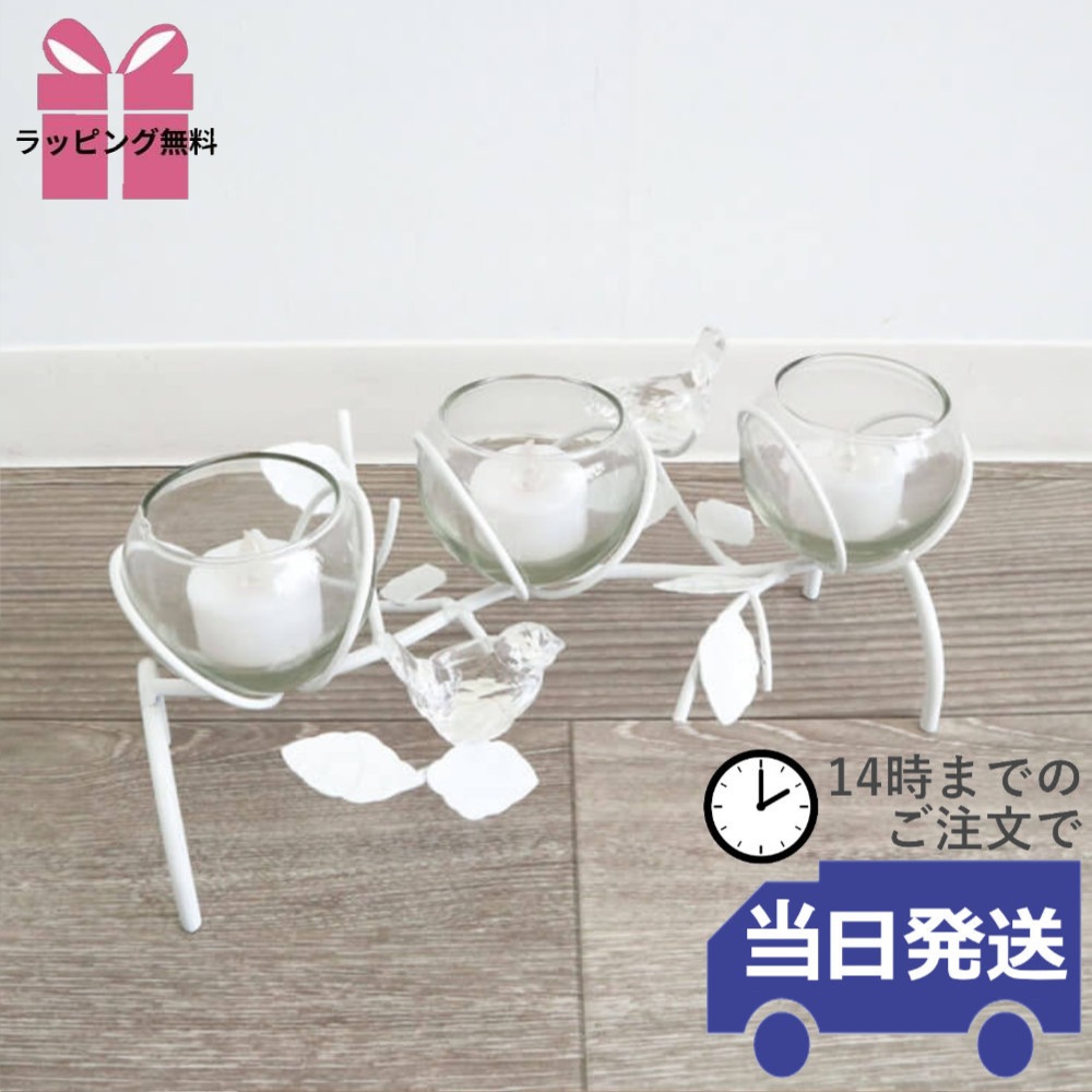 3饹ե١  ۥ磻ȡäʥƥꥢ͢ߥڸΡ