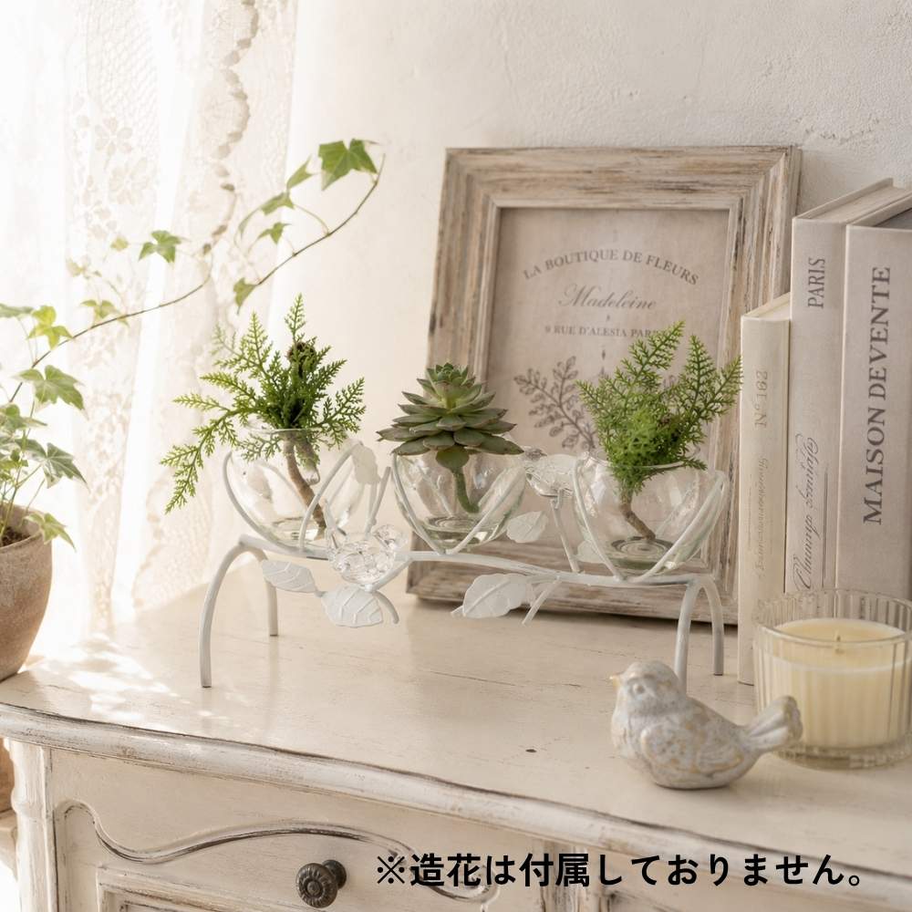 ���������3���饹�ե��١��� ���� �ۥ磻�ȡä������ʥ���ƥꥢ��͢�����ߥ����ڸ������Ρ�
