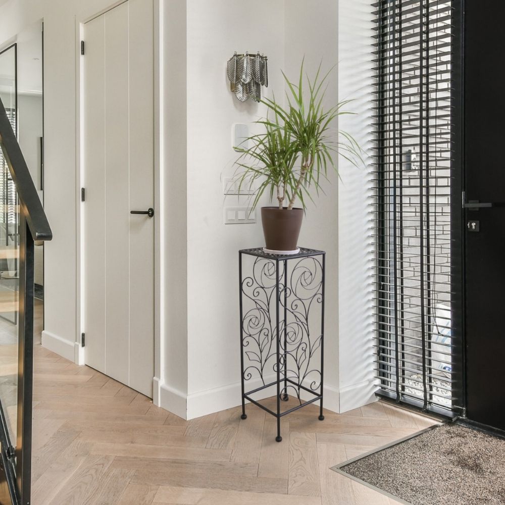  ץȥɹ⤵65cmäʥƥꥢ͢ߥڸΡ