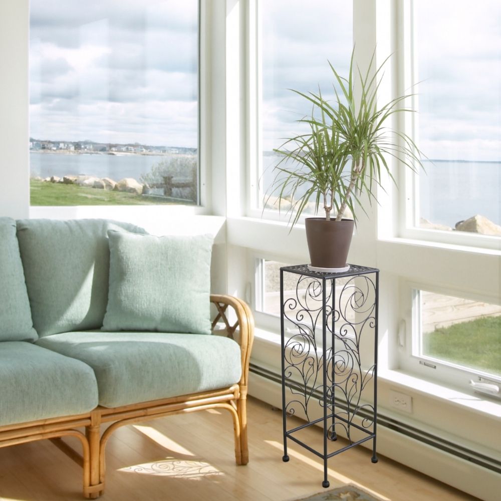  ץȥɹ⤵65cmäʥƥꥢ͢ߥڸΡ