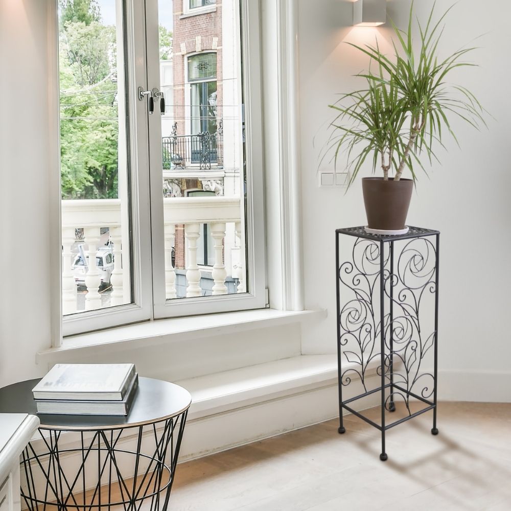  ץȥɹ⤵65cmäʥƥꥢ͢ߥڸΡ