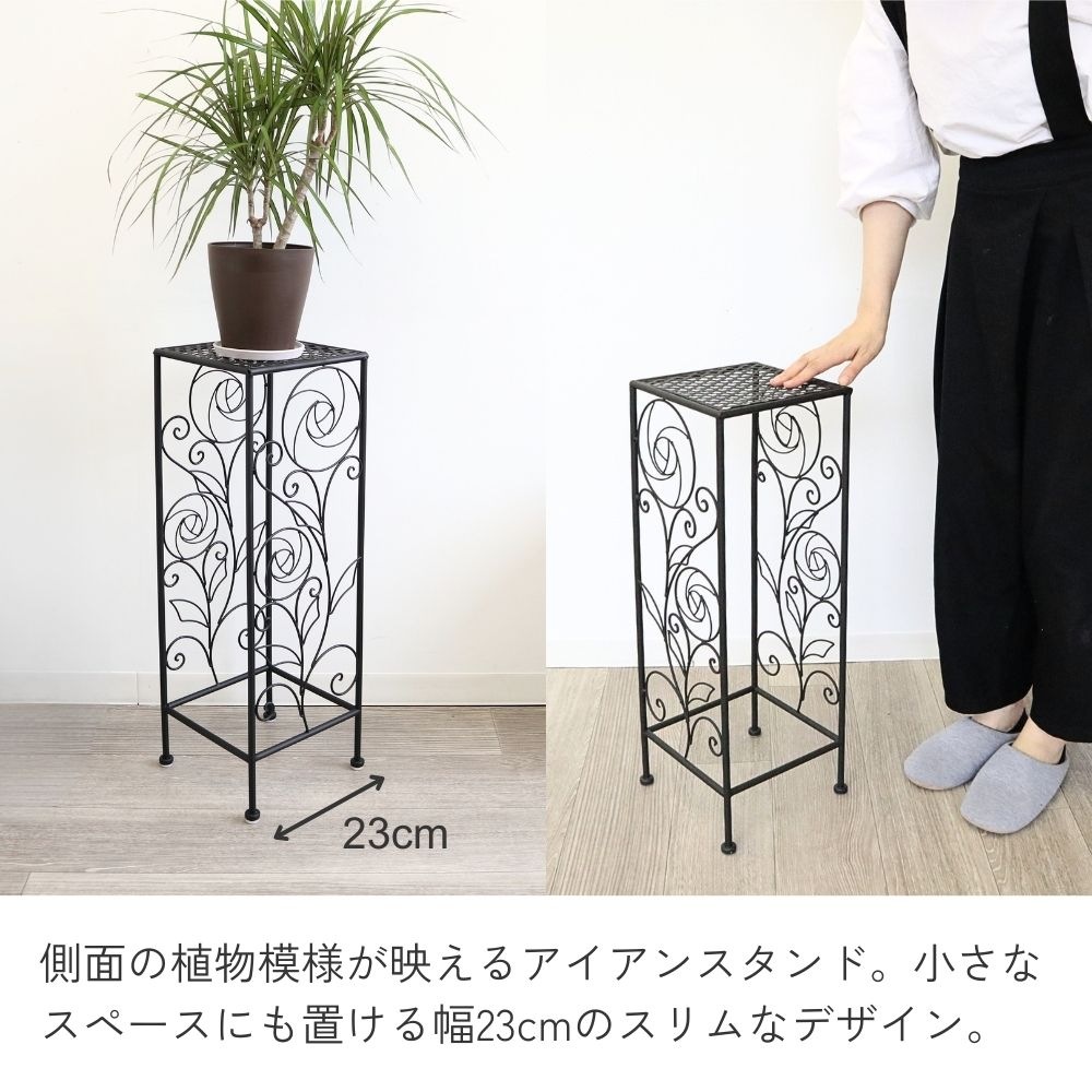 ���� �ץ��ȥ�����ɹ⤵65cm�ä������ʥ���ƥꥢ��͢�����ߥ����ڸ������Ρ�