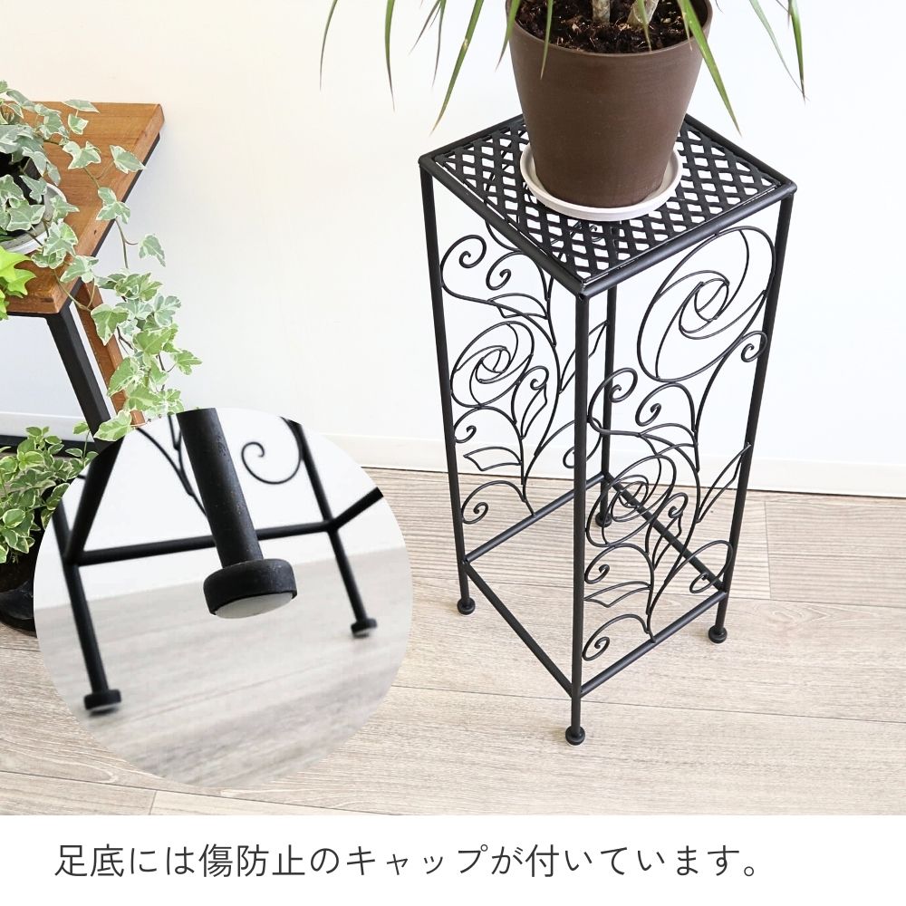 ���� �ץ��ȥ�����ɹ⤵65cm�ä������ʥ���ƥꥢ��͢�����ߥ����ڸ������Ρ�