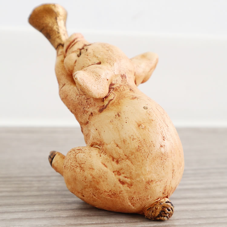 ��ʪ���֥��� �֥� �⤵8cm�ä������ʥ���ƥꥢ��͢�����ߥ����ڸ������Ρ�