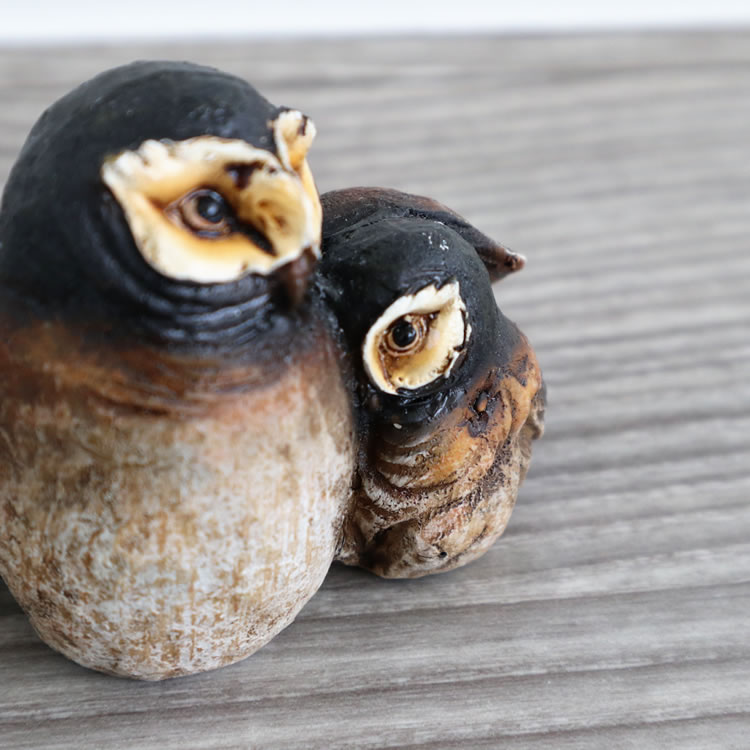 ��ʪ���֥��� �ե������ƻ� �⤵6cm�ä������ʥ���ƥꥢ��͢�����ߥ����ڸ������Ρ�