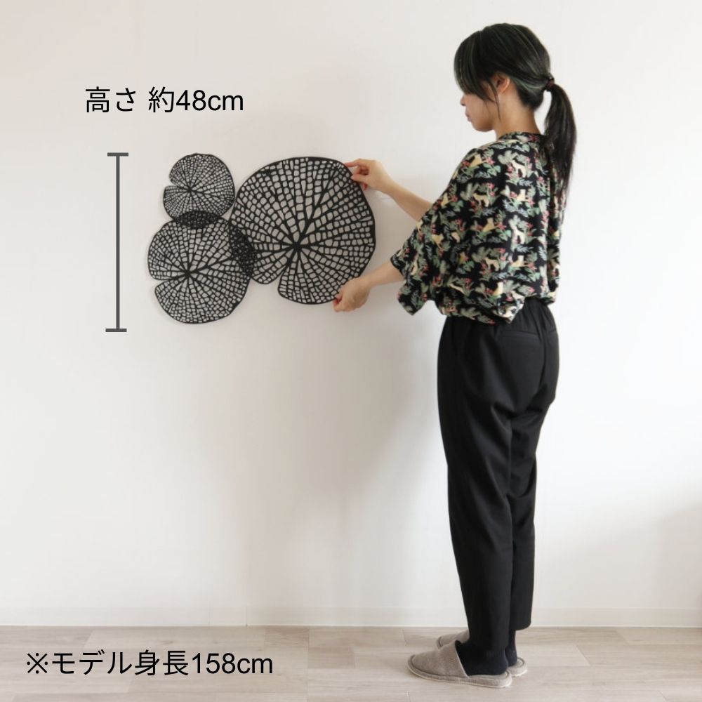 �ɾ��� ϡ���� �����֥�å� ��65cm�߹⤵48cm�ä������ʥ���ƥꥢ��͢�����ߥ����ڸ������Ρ�