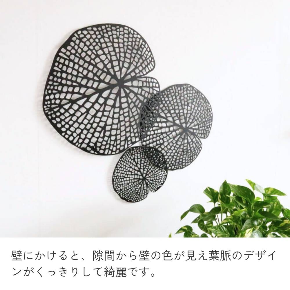 �ɾ��� ϡ���� �����֥�å� ��65cm�߹⤵48cm�ä������ʥ���ƥꥢ��͢�����ߥ����ڸ������Ρ�