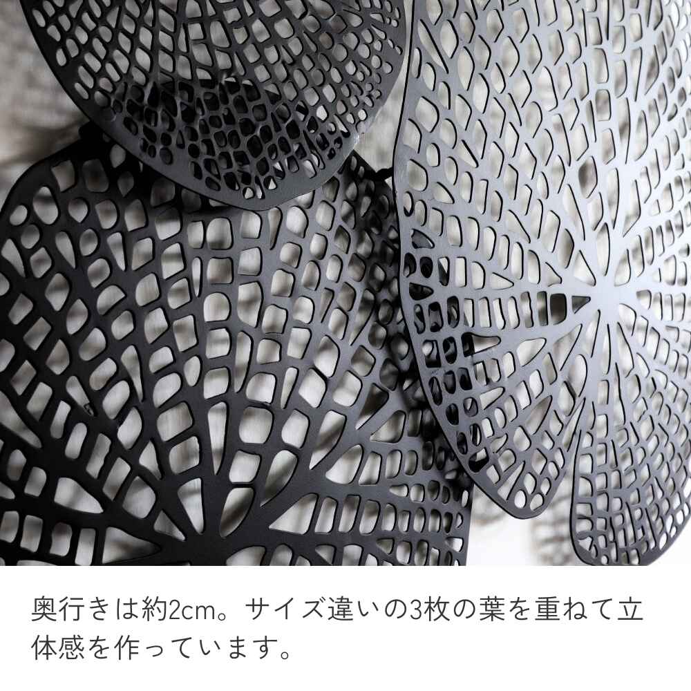 �ɾ��� ϡ���� �����֥�å� ��65cm�߹⤵48cm�ä������ʥ���ƥꥢ��͢�����ߥ����ڸ������Ρ�