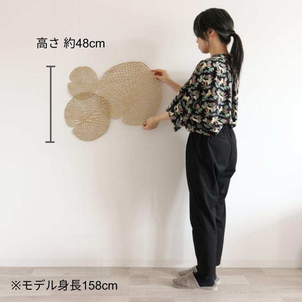 �ɾ��� ϡ���� ����󥴡���� ��65cm�߹⤵48cm�ä������ʥ���ƥꥢ��͢�����ߥ����ڸ������Ρ�