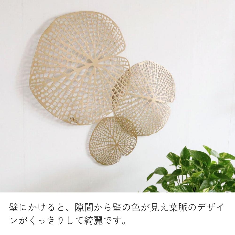 �ɾ��� ϡ���� ����󥴡���� ��65cm�߹⤵48cm�ä������ʥ���ƥꥢ��͢�����ߥ����ڸ������Ρ�