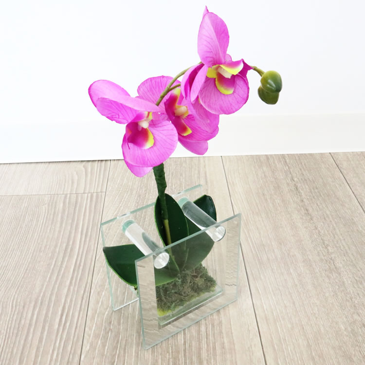 饹١&ե ѡץ ⤵18cmäʥƥꥢ͢ߥڸΡ