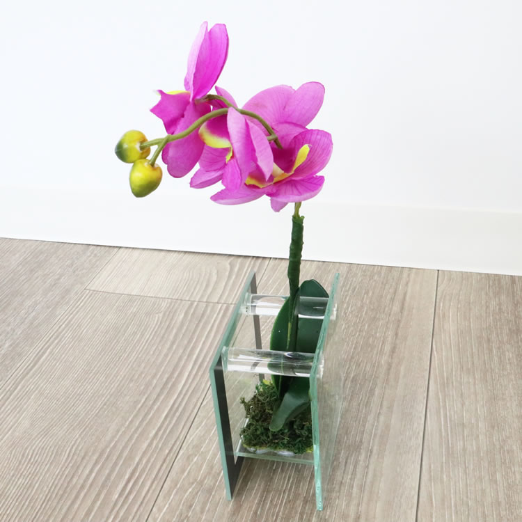 饹١&ե ѡץ ⤵18cmäʥƥꥢ͢ߥڸΡ