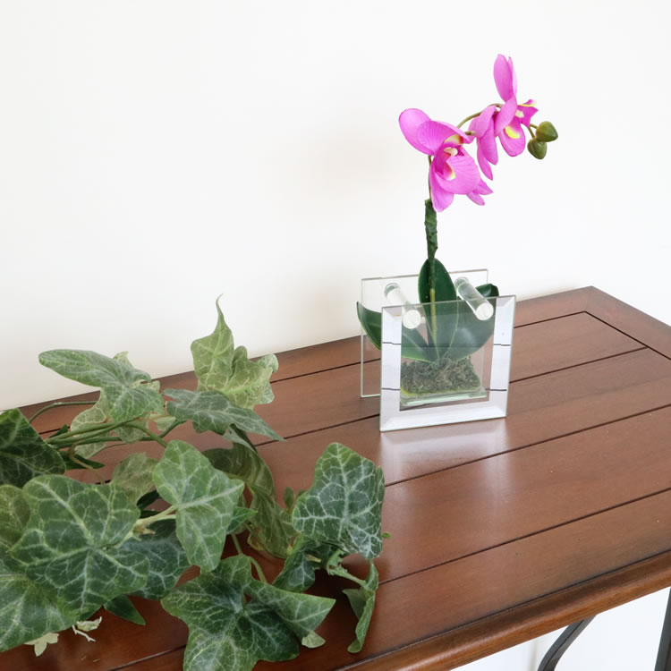 饹١&ե ѡץ ⤵18cmäʥƥꥢ͢ߥڸΡ