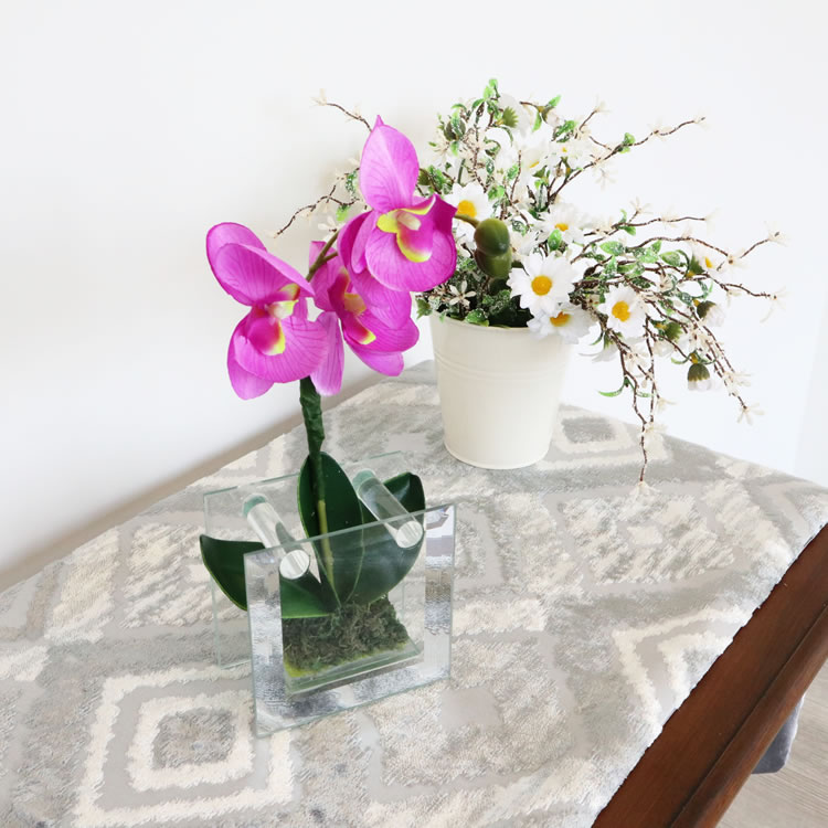 饹١&ե ѡץ ⤵18cmäʥƥꥢ͢ߥڸΡ