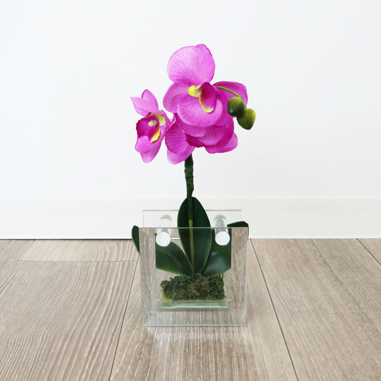 饹١&ե ѡץ ⤵18cmäʥƥꥢ͢ߥڸΡ