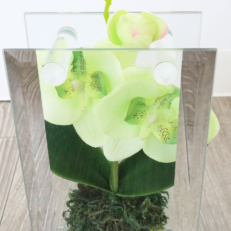 ���饹�١���&�ե� ���ۥ磻�� �⤵18cm�ä������ʥ���ƥꥢ��͢�����ߥ����ڸ������Ρ�