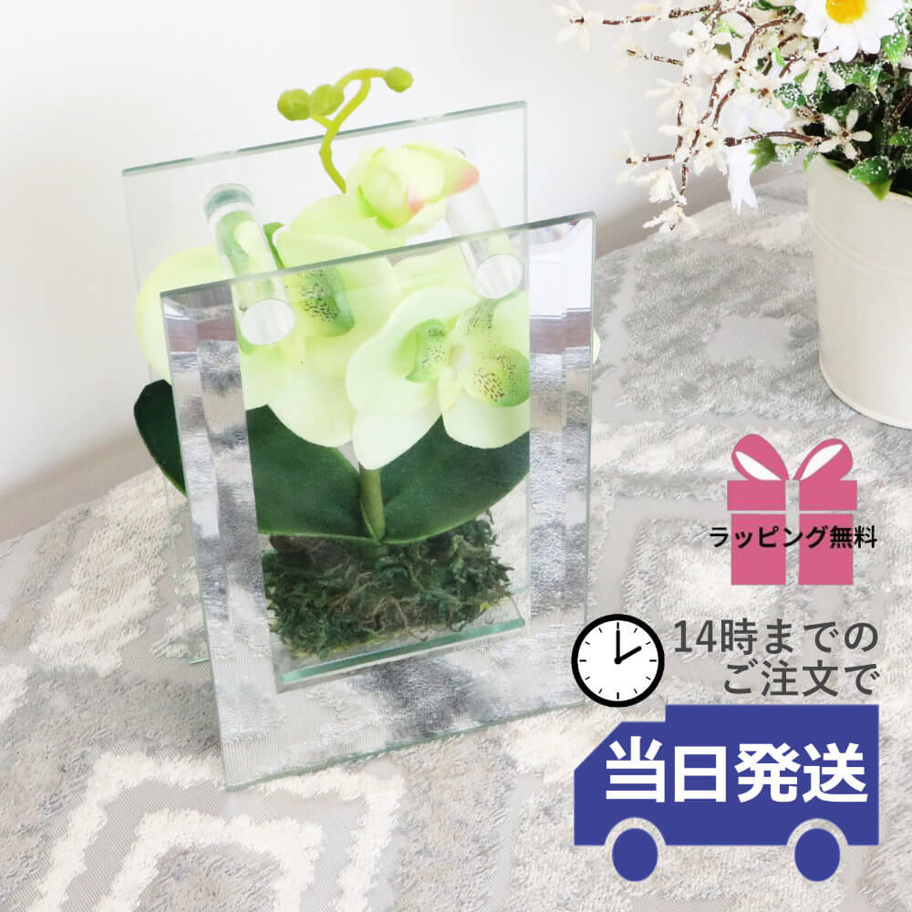 ���饹�١���&�ե� ���ۥ磻�� �⤵18cm�ä������ʥ���ƥꥢ��͢�����ߥ����ڸ������Ρ�