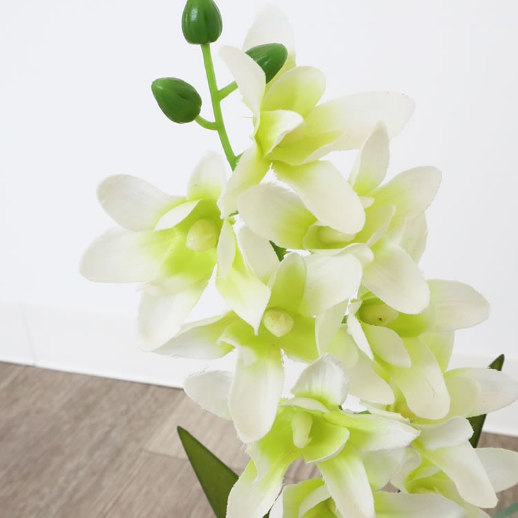 ���饹�١���&�ե� ���ۥ磻�� �⤵16cm�ä������ʥ���ƥꥢ��͢�����ߥ����ڸ������Ρ�