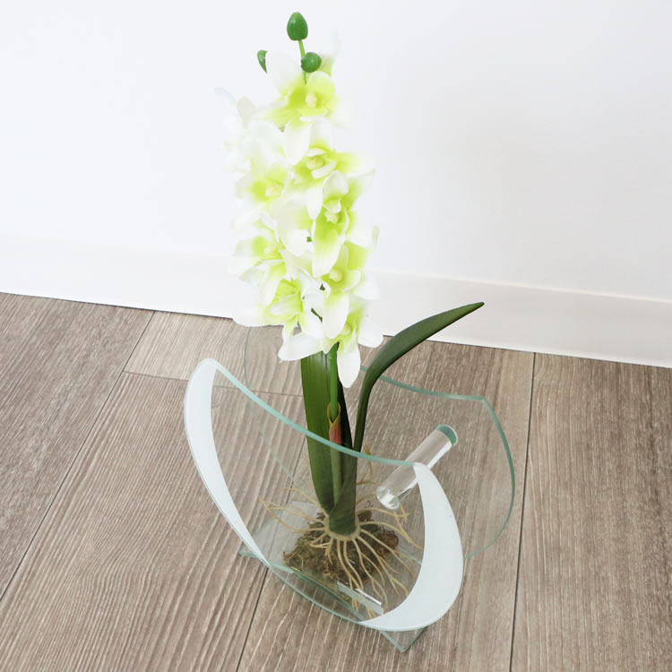 ���饹�١���&�ե� ���ۥ磻�� �⤵16cm�ä������ʥ���ƥꥢ��͢�����ߥ����ڸ������Ρ�