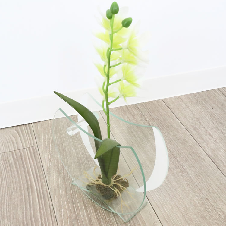 ���饹�١���&�ե� ���ۥ磻�� �⤵16cm�ä������ʥ���ƥꥢ��͢�����ߥ����ڸ������Ρ�