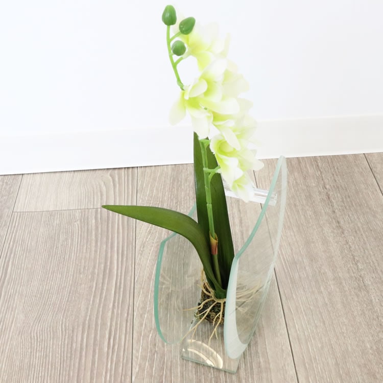 ���饹�١���&�ե� ���ۥ磻�� �⤵16cm�ä������ʥ���ƥꥢ��͢�����ߥ����ڸ������Ρ�