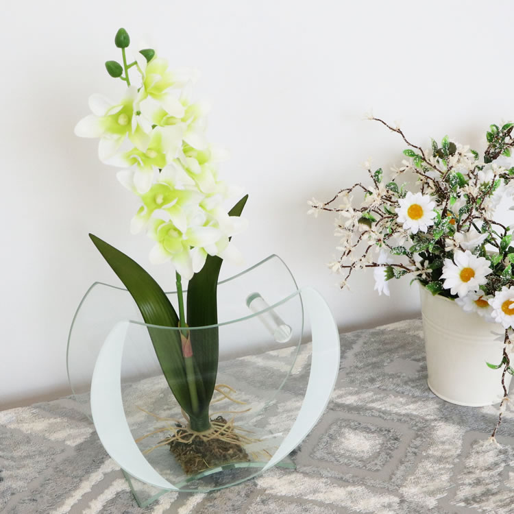 ���饹�١���&�ե� ���ۥ磻�� �⤵16cm�ä������ʥ���ƥꥢ��͢�����ߥ����ڸ������Ρ�