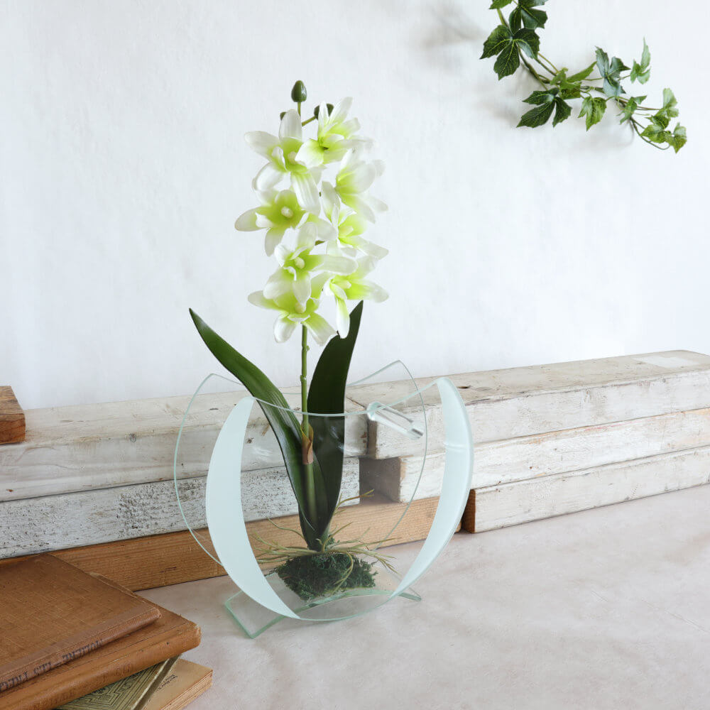 ���饹�١���&�ե� ���ۥ磻�� �⤵16cm�ä������ʥ���ƥꥢ��͢�����ߥ����ڸ������Ρ�