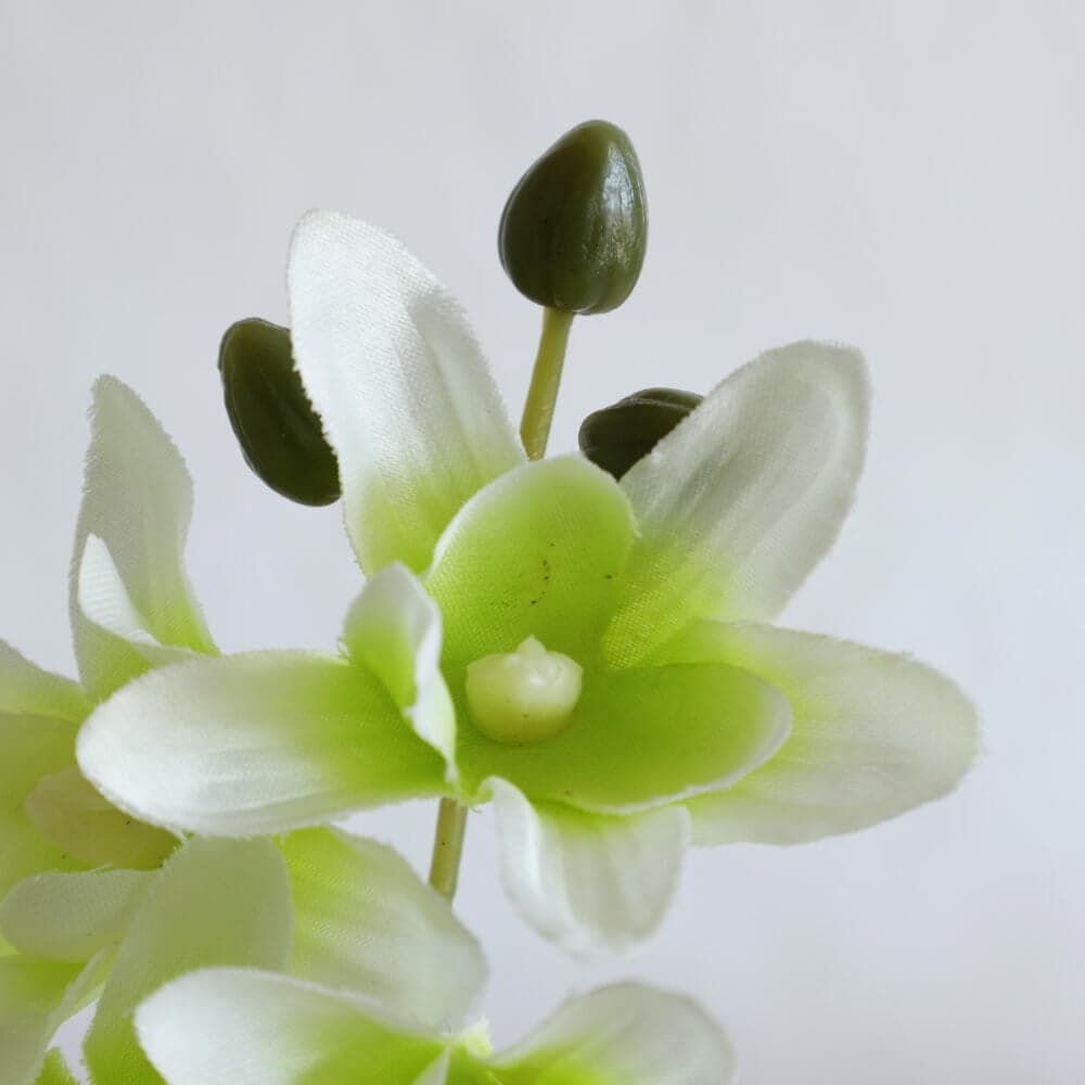 ���饹�١���&�ե� ���ۥ磻�� �⤵16cm�ä������ʥ���ƥꥢ��͢�����ߥ����ڸ������Ρ�