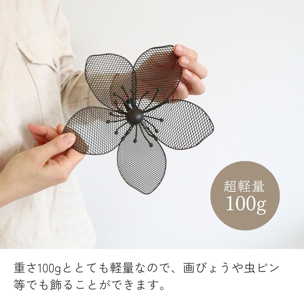 ����ƥꥢ�ɾ��� �� �֥�å� ��20cm�߹⤵20cm�ä������ʥ���ƥꥢ��͢�����ߥ����ڸ������Ρ�