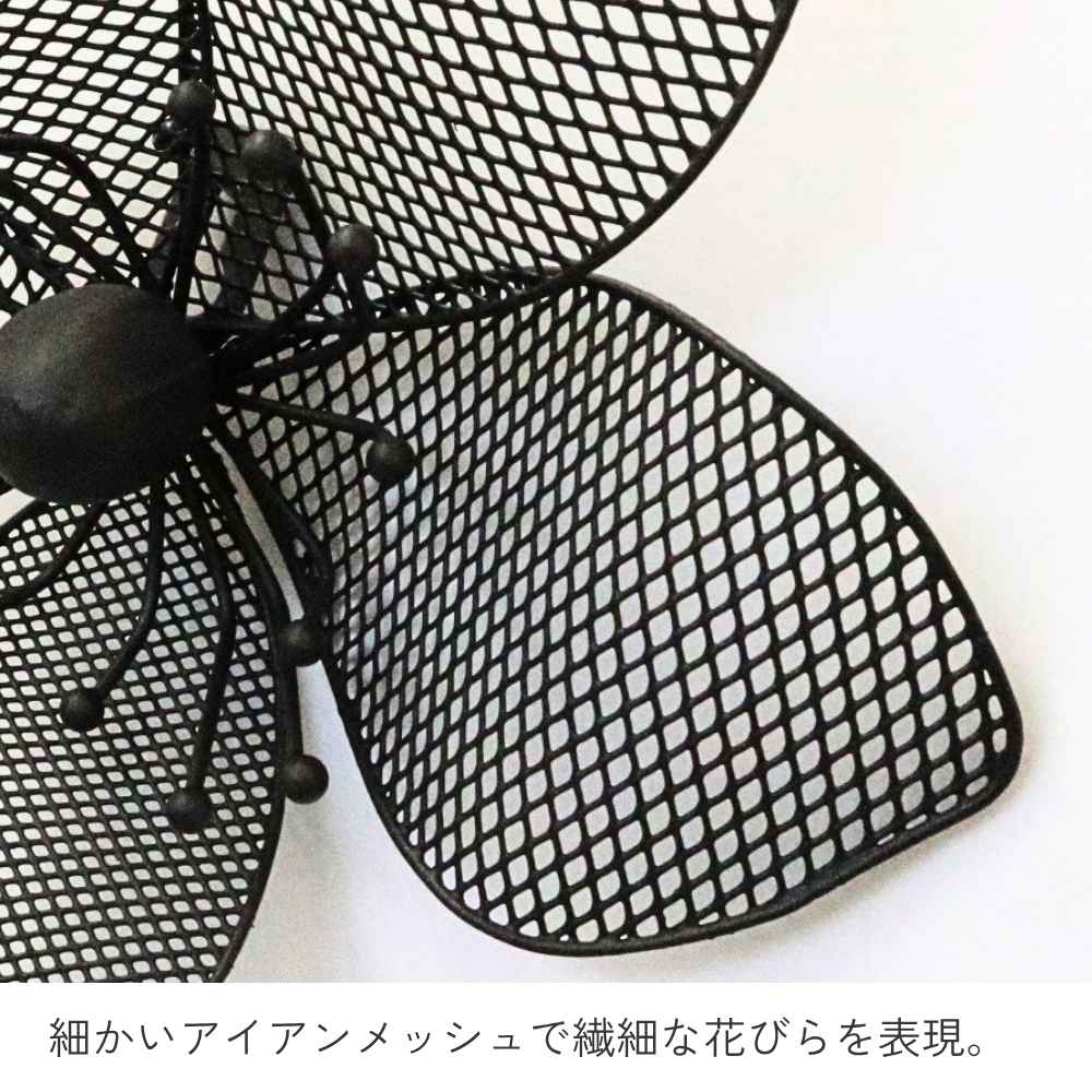 ����ƥꥢ�ɾ��� �� �֥�å� ��20cm�߹⤵20cm�ä������ʥ���ƥꥢ��͢�����ߥ����ڸ������Ρ�