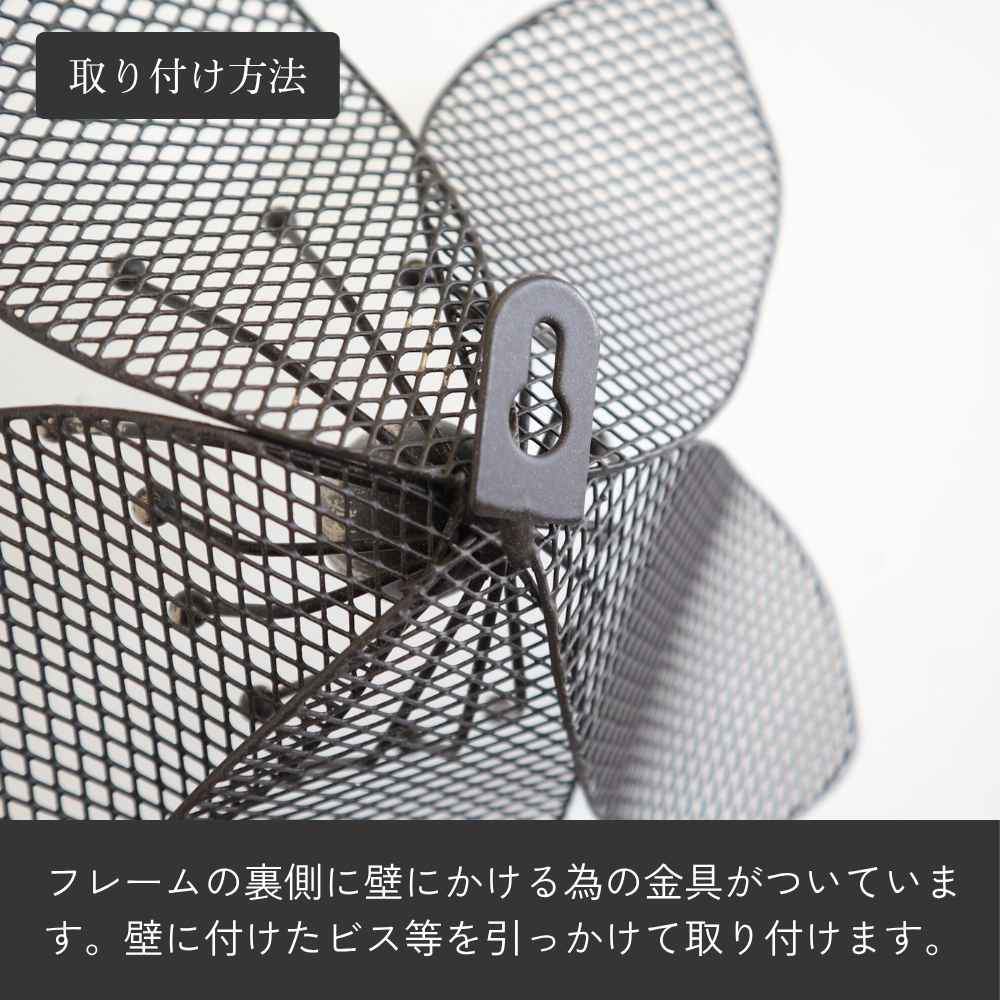 ����ƥꥢ�ɾ��� �� �֥�å� ��20cm�߹⤵20cm�ä������ʥ���ƥꥢ��͢�����ߥ����ڸ������Ρ�