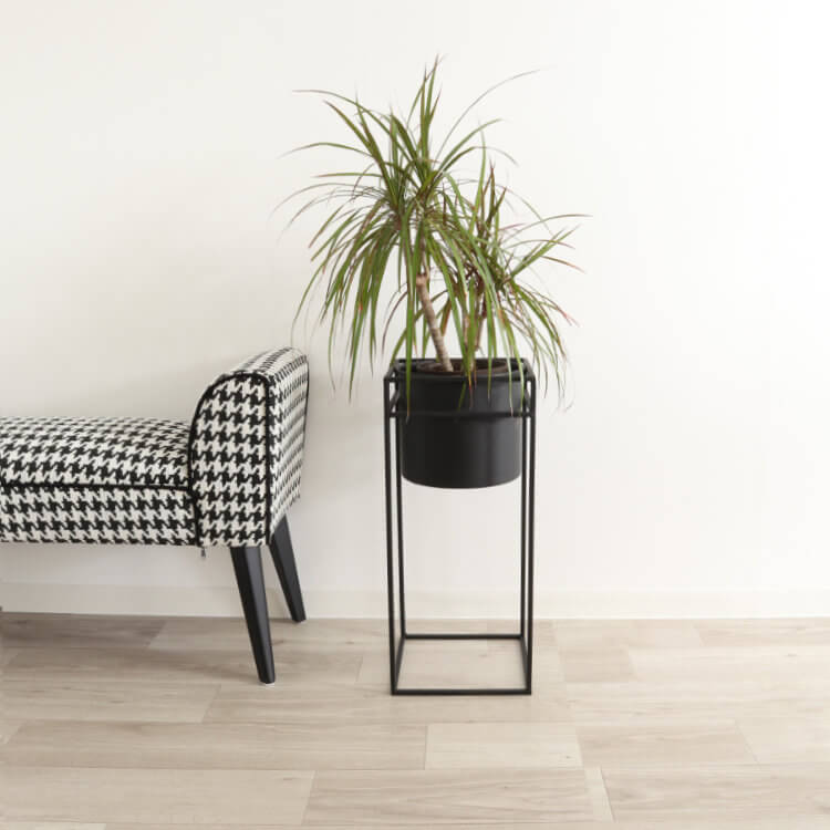 ������ȯ�� ư�褢��ۥե�������� �������� �ץ�󥿡�