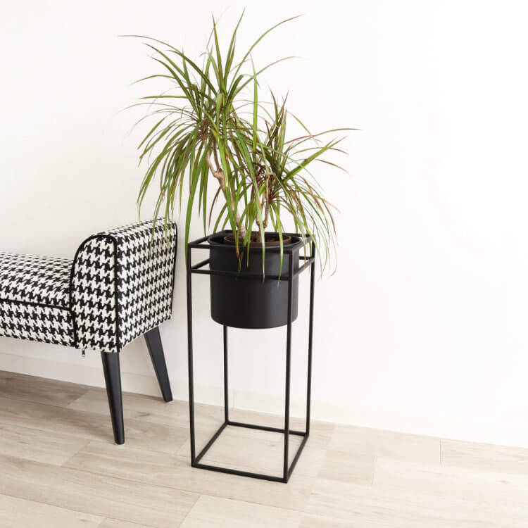 ������ȯ�� ư�褢��ۥե�������� �������� �ץ�󥿡�