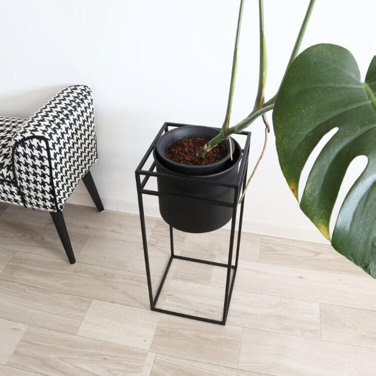 ������ȯ�� ư�褢��ۥե�������� �������� �ץ�󥿡�