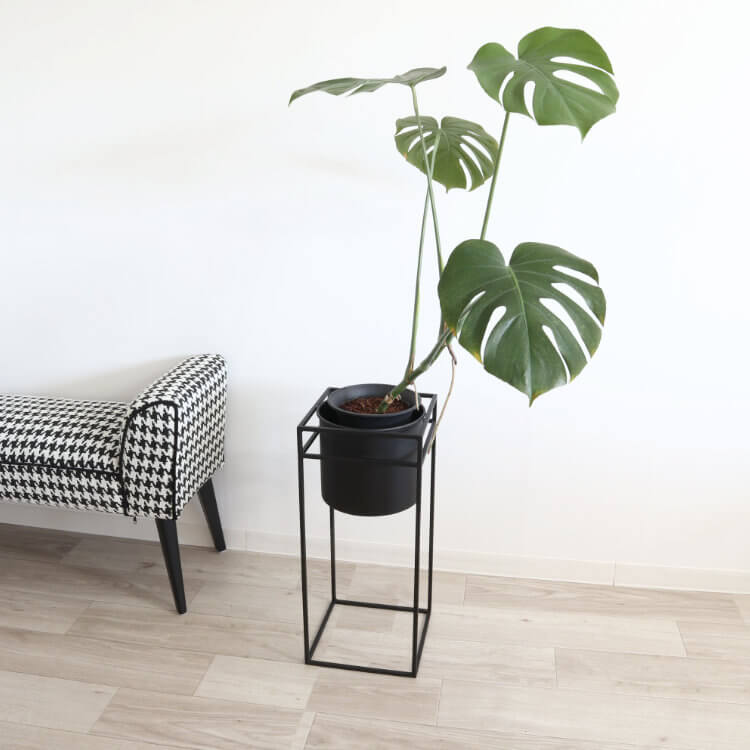 ������ȯ�� ư�褢��ۥե�������� �������� �ץ�󥿡�